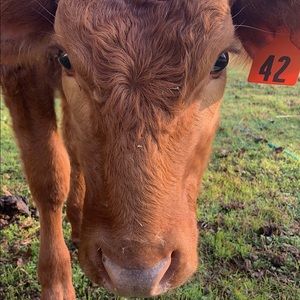 Meet your Posher, Alicia